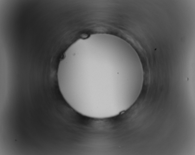 X0000092100521200710031214