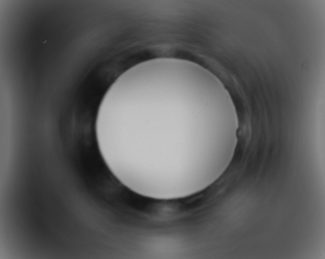 X0000092100525200710031214