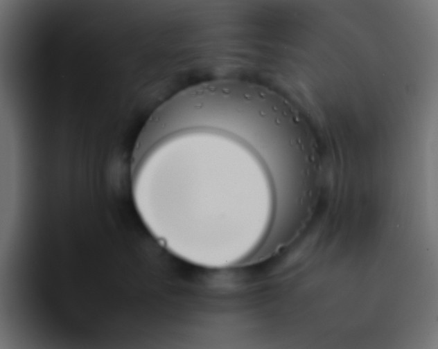 X0000092100527200710031214