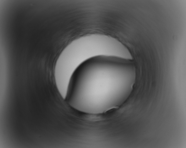 X0000092100528200710031214