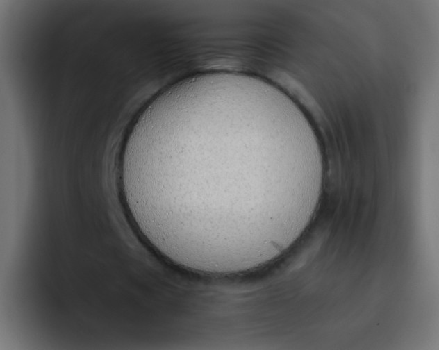 X0000092100529200710031214