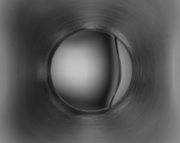 X0000092100530200710031214