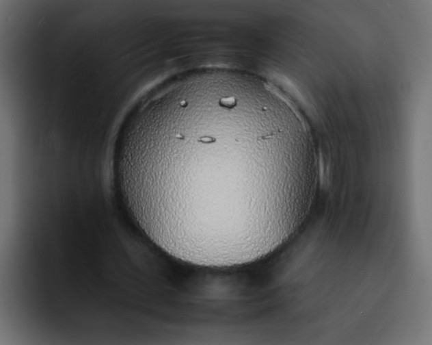 X0000092100531200710031214