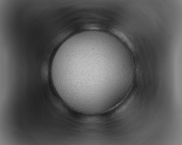 X0000092100533200710031214