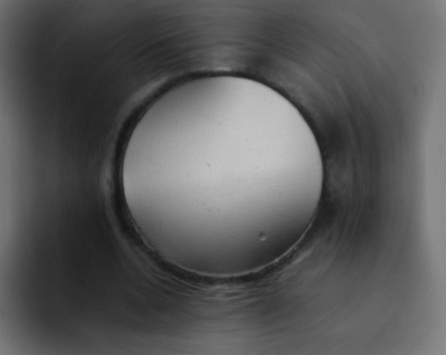 X0000092100536200710031214