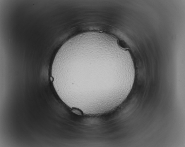 X0000092100537200710031214