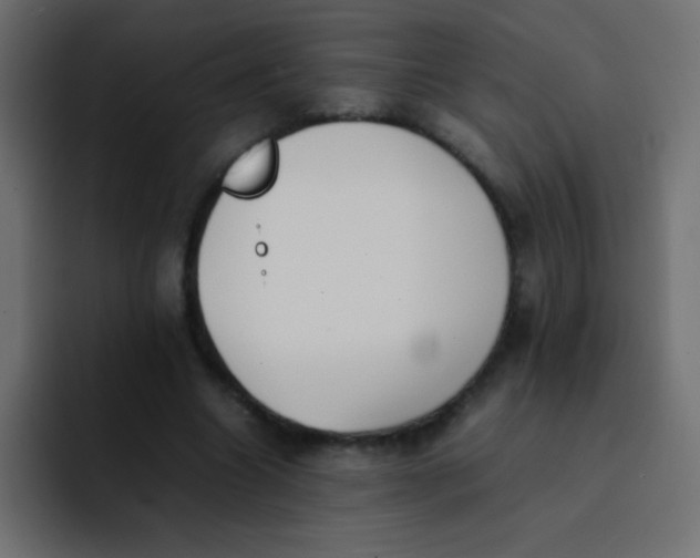 X0000092100538200710031214