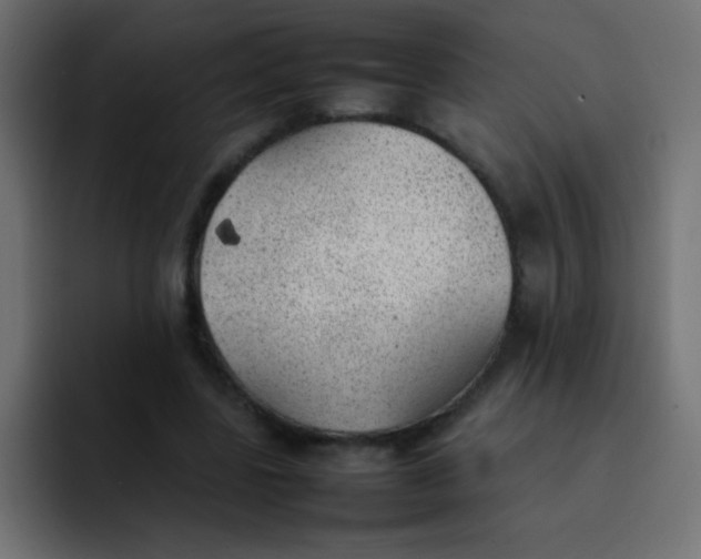 X0000092100539200710031214