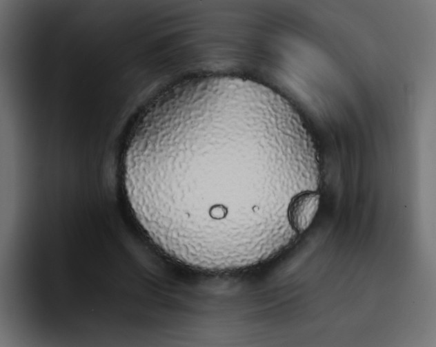 X0000092100542200710031214