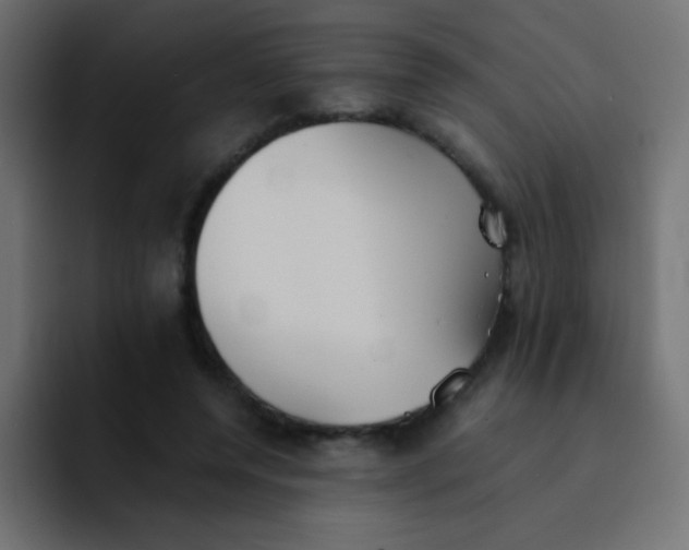 X0000092100544200710031214