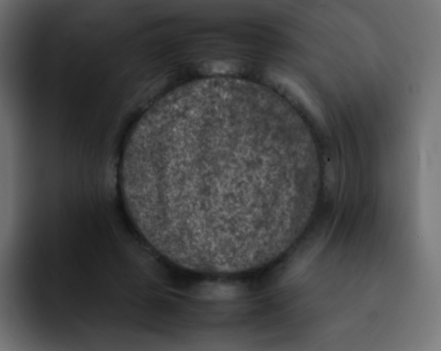 X0000092100545200710031214