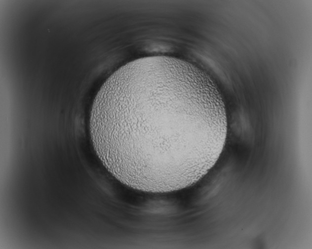 X0000092100547200710031214