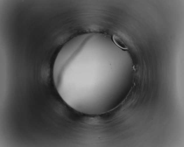 X0000092100548200710031214