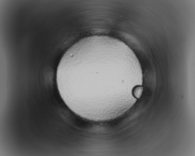 X0000092100550200710031214