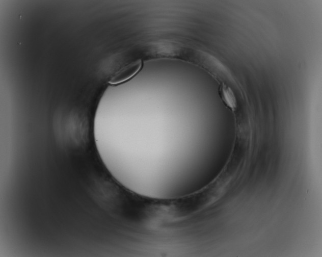 X0000092100552200710031214