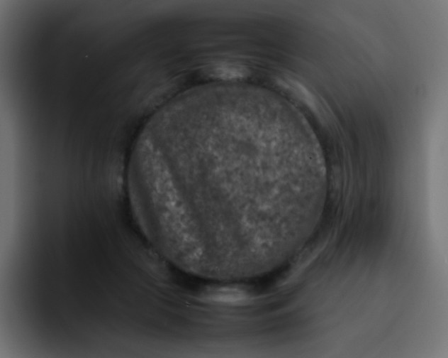 X0000092100553200710031214