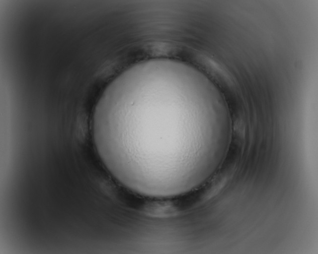 X0000092100554200710031214