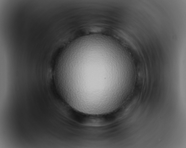 X0000092100555200710031214