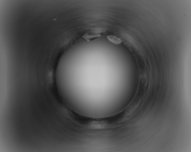 X0000092100556200710031214