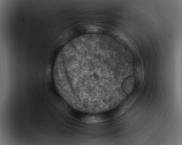 X0000092100557200710031214