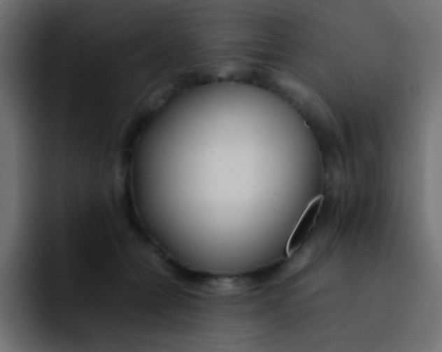 X0000092100558200710031214