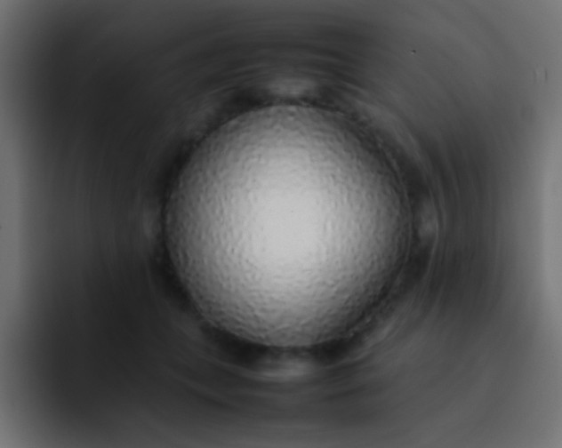 X0000092100559200710031214