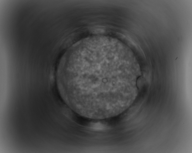 X0000092100561200710031214