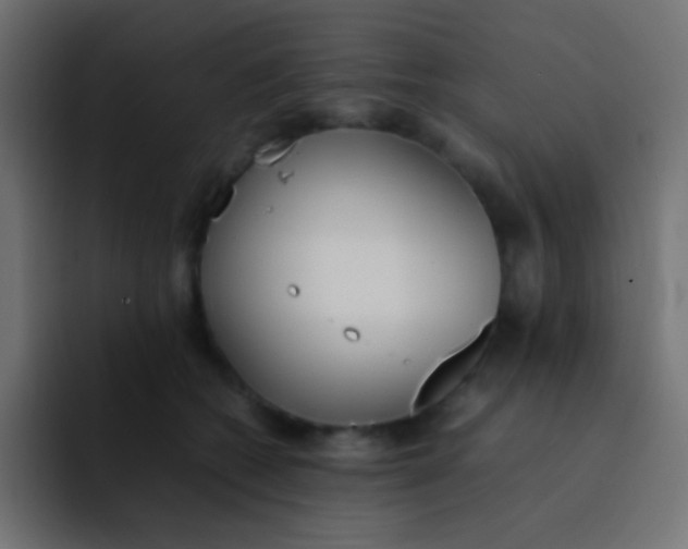 X0000092100562200710031214