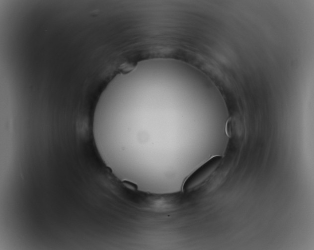 X0000092100564200710031214