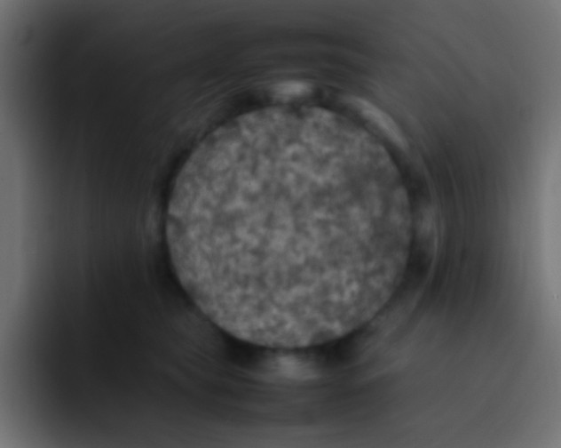 X0000092100565200710031214