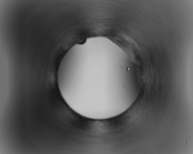 X0000092100566200710031214