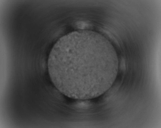 X0000092100569200710031214