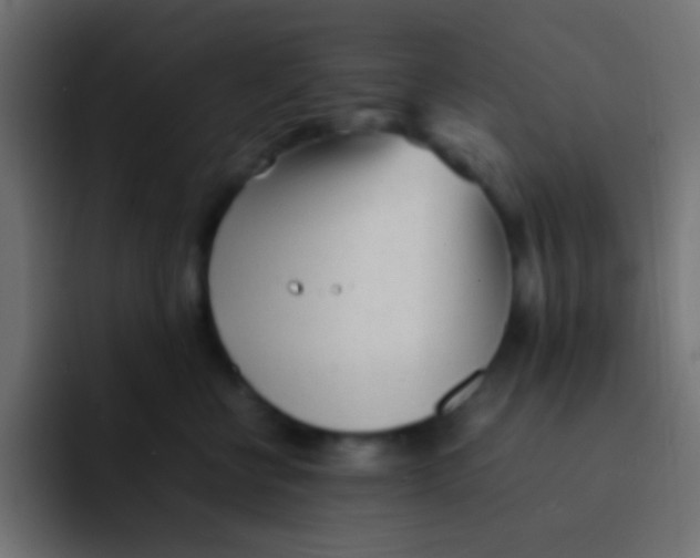 X0000092100570200710031214