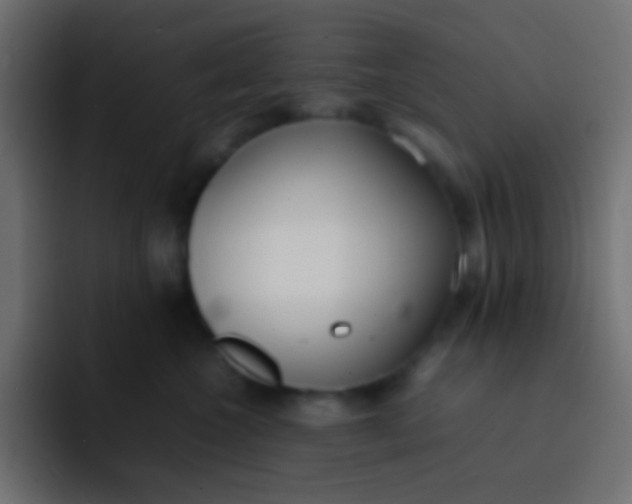 X0000092100572200710031214