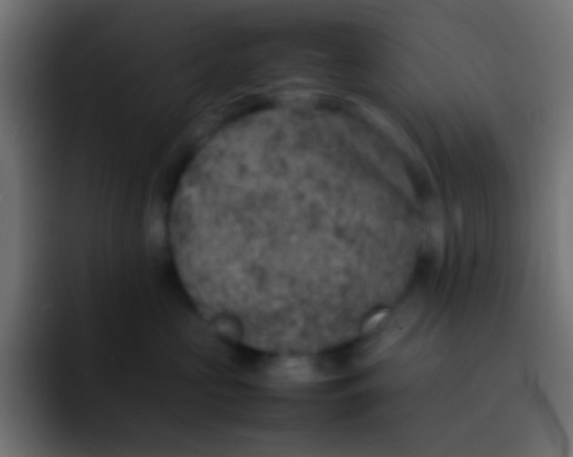 X0000092100573200710031214