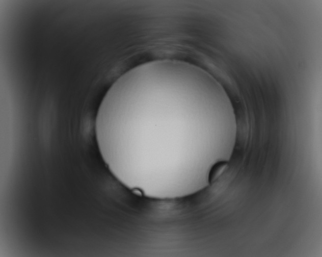 X0000092100574200710031214