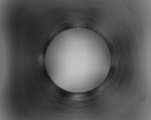 X0000092100575200710031214