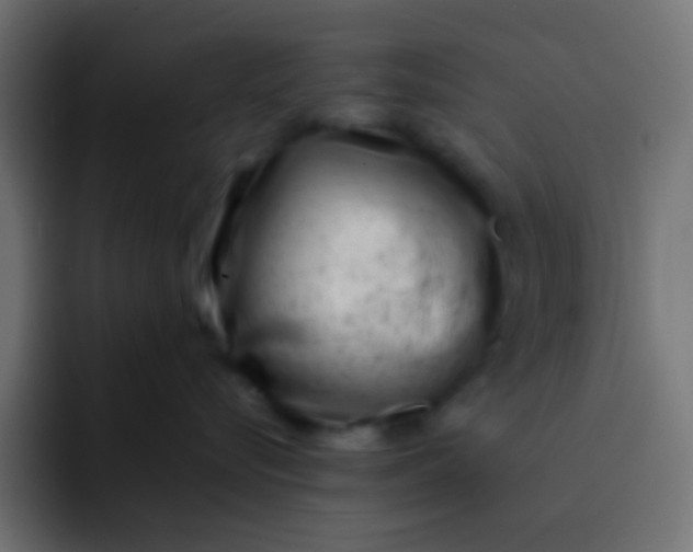 X0000092100576200710031214