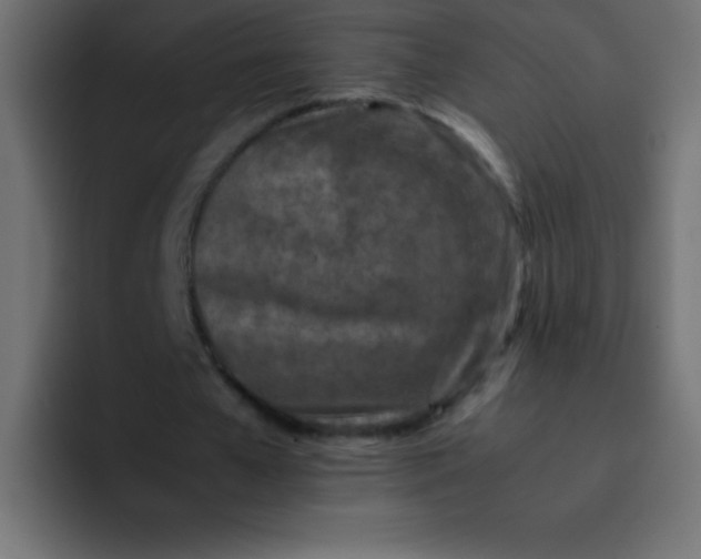 X0000092100577200710031214