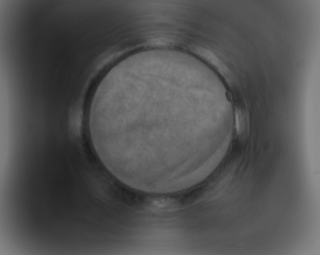 X0000092100579200710031214