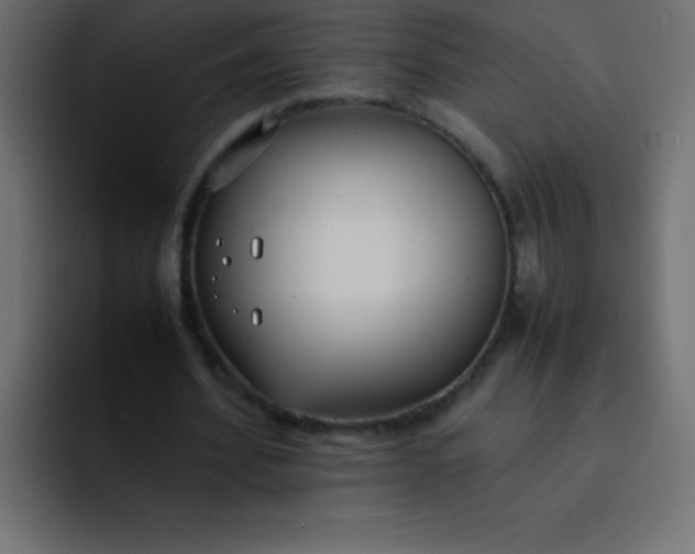 X0000092100580200710031214