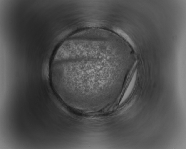 X0000092100581200710031214