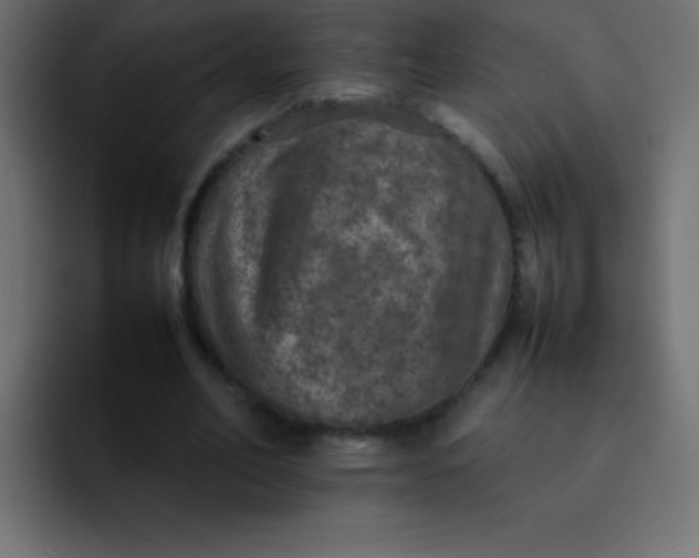 X0000092100582200710031214