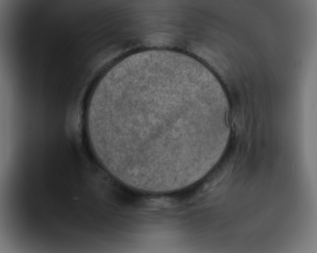 X0000092100583200710031214