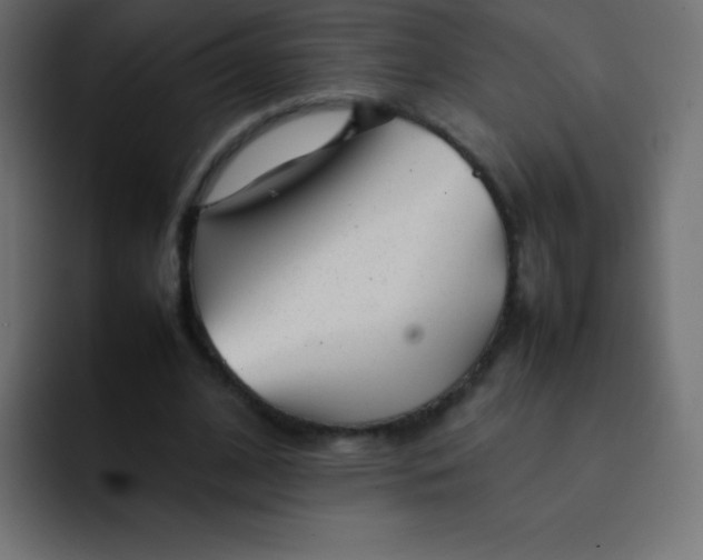 X0000092100584200710031214