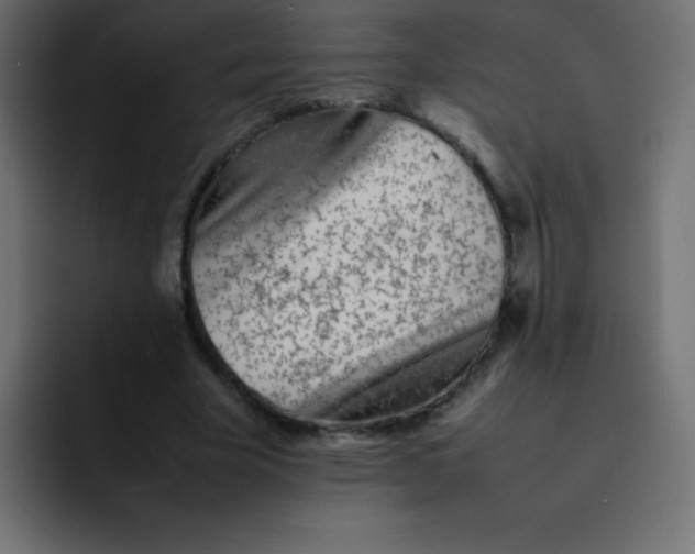 X0000092100585200710031214