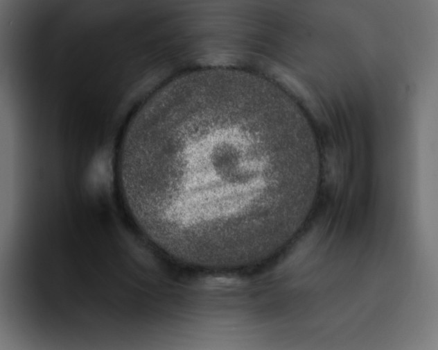 X0000092100586200710031214