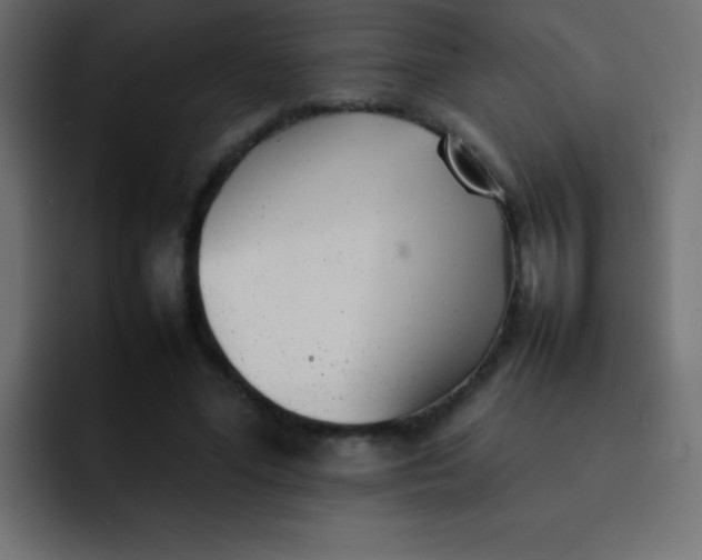 X0000092100588200710031214