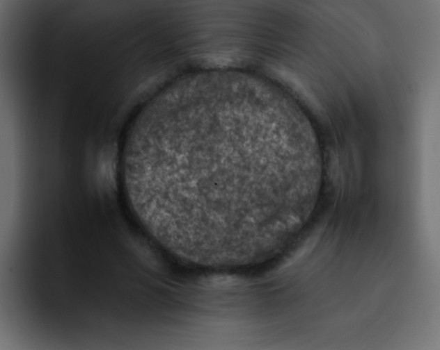 X0000092100590200710031214