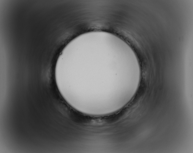 X0000092100591200710031214